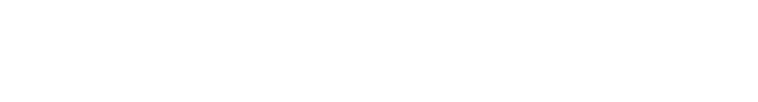 VoteRiders Primary Logo – White